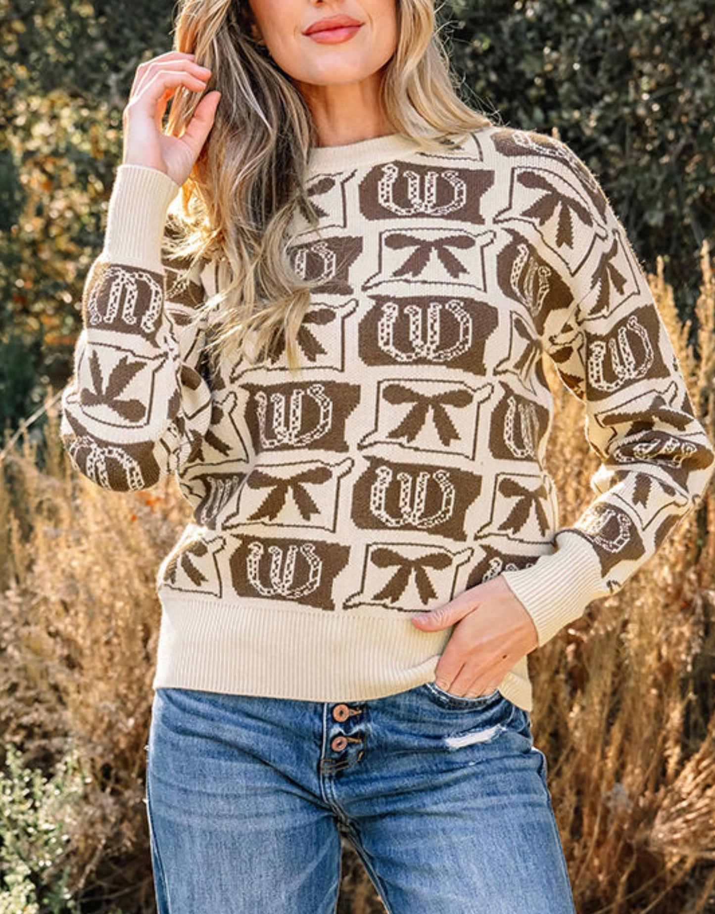 Bow & Horseshoe Sweater