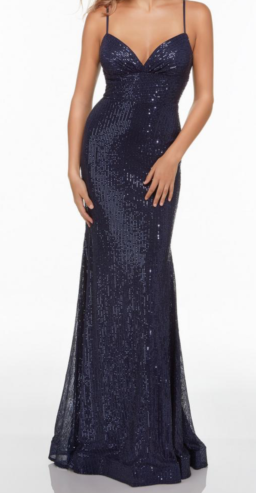 The Secret Dress by Alyce 1712