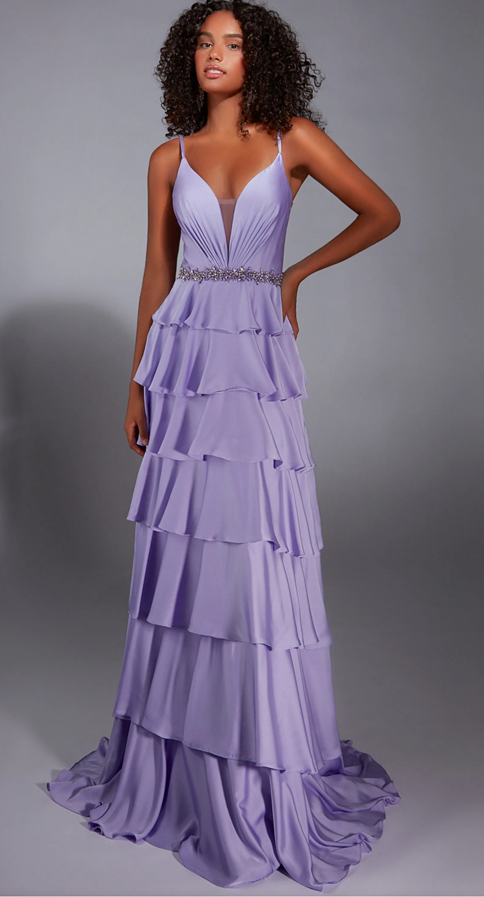 The Secret Dress by Alyce 1834