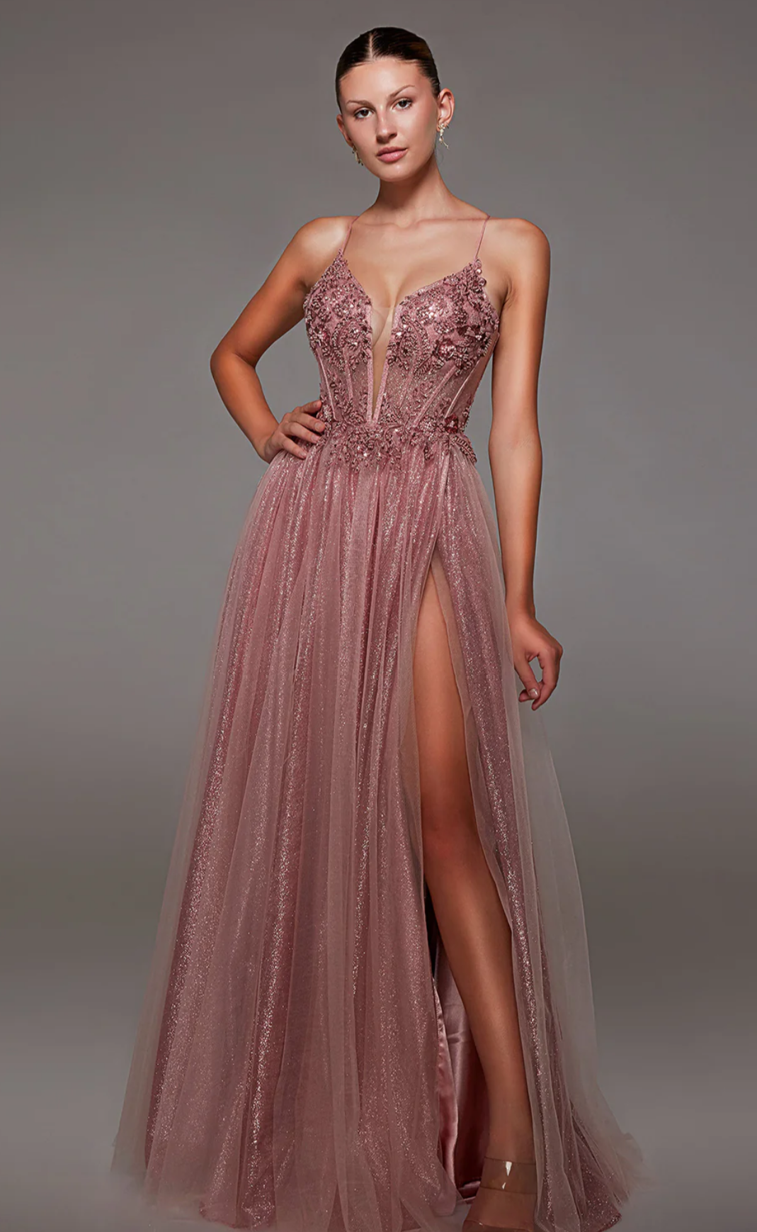 The Secret Dress by Alyce 1813