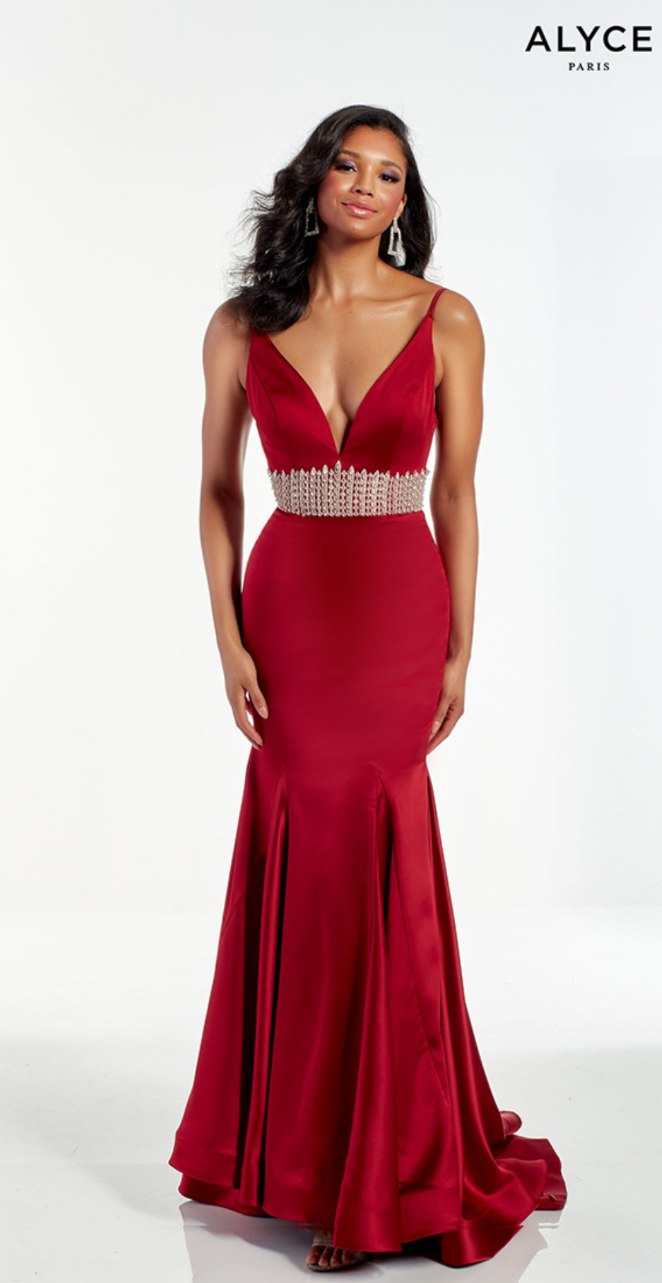 The Secret Dress by Alyce 1621