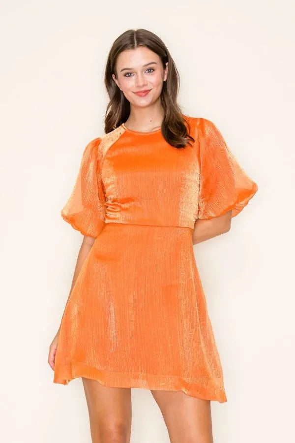 Skater Dress